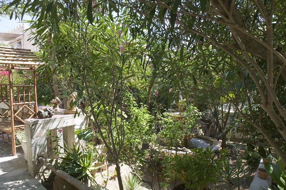 L'Oasi Villaggio Albergo Favignana Extérieur photo